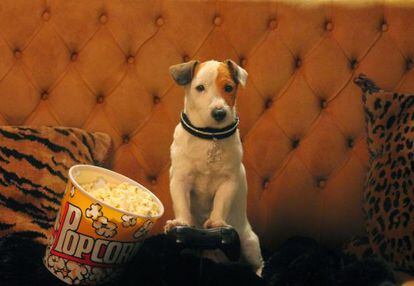 Pancho, el protagonista de la película.