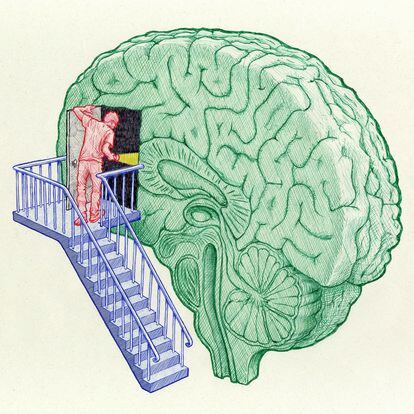 Algunos mitos del cerebro, como aquel que dice que solo usamos un 10% de este órgano