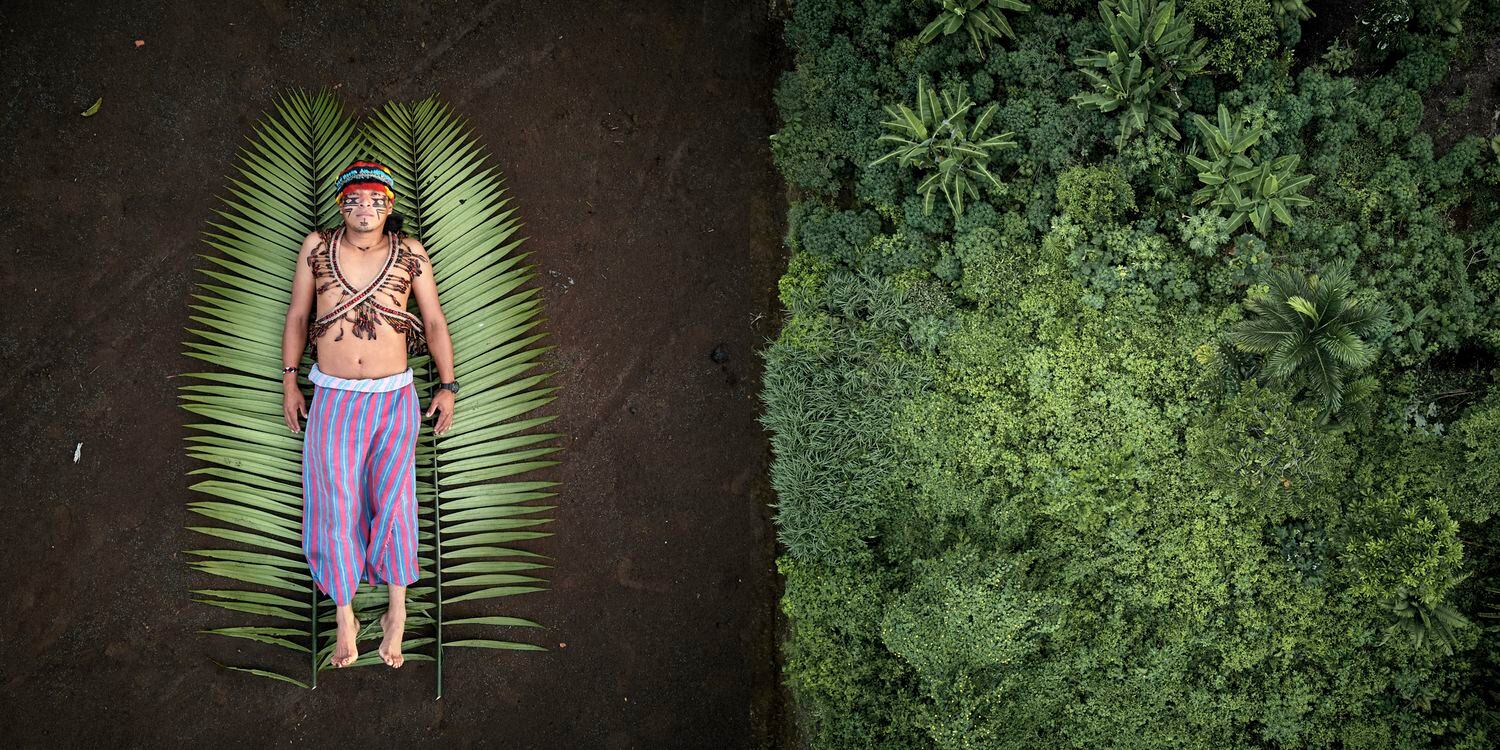 Composition à l'image de Nantu, l'un des dix défenseurs des protagonistes de la jungle de la série lauréate du prix Gabo 2020.