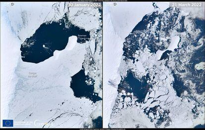 A la izquierda, imagen de la plataforma de 1.200 kilómetros cuadrados en el glaciar Conger antes de desprenderse; a la derecha, su aspecto tras el desplome.