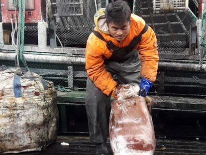Vídeo | Muerte en alta mar: la enfermedad que mata a los marineros de la industria del calamar
