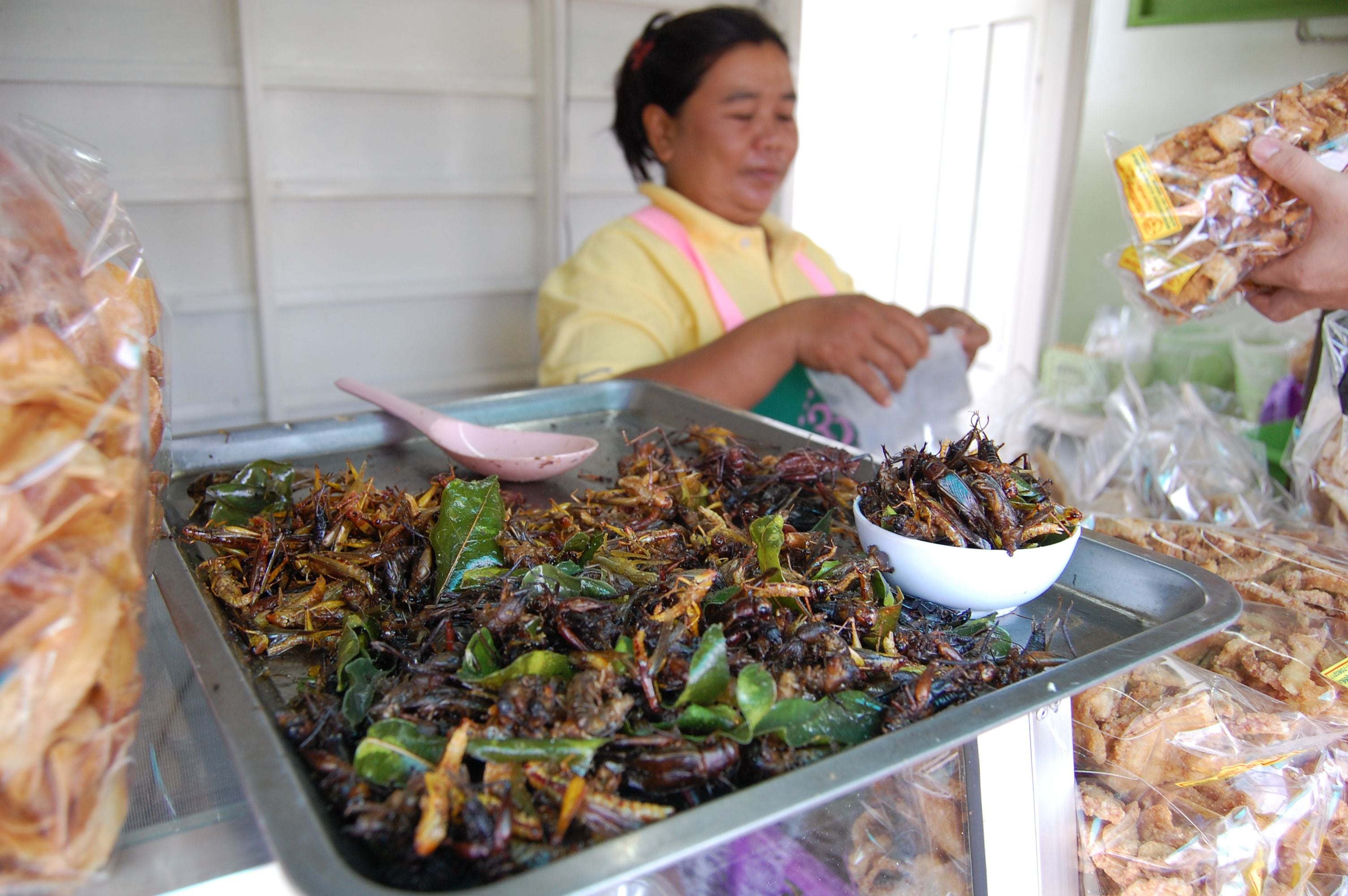 La nutritiva costumbre de comer gusanos de seda como tentempié