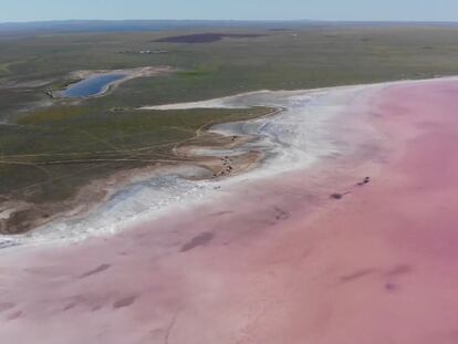 El lago rosa que lucha por su supervivencia