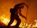 Bombeiros de Los Angeles combatem as chamas na Floresta Nacional, localizada no município. Os incêndios na Califórnia já devastaram 2.3 milões de hectares, e devem durar até dezembro. 