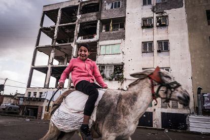 Una niña montada en un burro en el barrio norteño de Beit Lahia, donde son evidentes las señales de los bombardeos y los destrozos. Este es uno de los barrios más pobres de la franja, bombardeado varias veces debido a la cercanía con la frontera israelí de Erez.