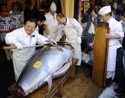 El atún de aleta azul del Pacífico que ganó el récord en 2012 con un valor de 567.000 euros en Tokio (Japón). EFE/Archivo