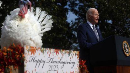 Liberty, pavo indultado por Joe Biden por el Día de Acción de Gracias, el día 20 en la Casa Blanca.