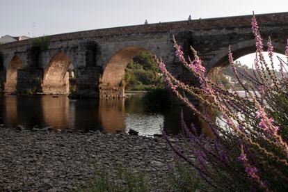 El río Miño, a su paso por Lugo, el pasado día 13.