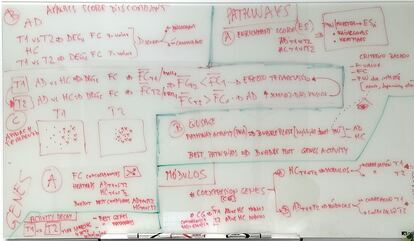 Whiteboard of the Sensogenome team with working hypotheses.