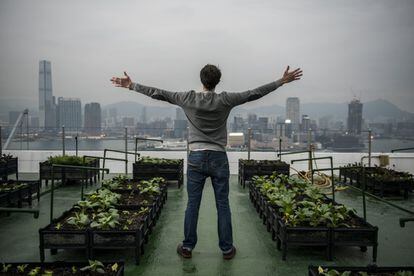 Pol Fabrega cofundador de Rooftop Republic, gesticula en medio de uno de los huertos urbanos en lo alto del Bank of America Tower en el distrito de Central en Hong Kong el 18 de Febrero de 2016 en Hong Kong, China.