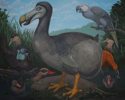 Una interpretación moderna del dodo, realizada por el paleontólogo Julian Hume.