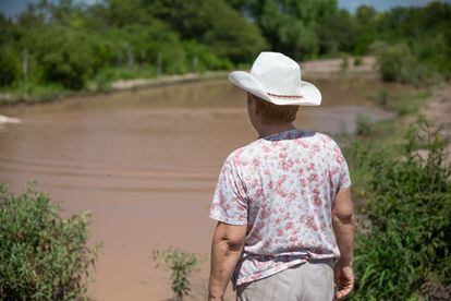 Griselda Ruiz cree que fueron los pesticidas en su estanque los que mataron a su ganado.
