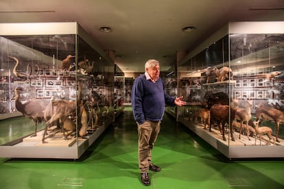 The biologist Ignacio Doadrio, responsible for the collections of the National Museum of Natural Sciences, photographed this Thursday.