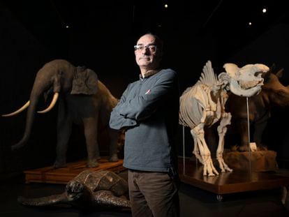 El genetista Carles Lalueza-Fox, director del Museo de Ciencias Naturales de Barcelona.