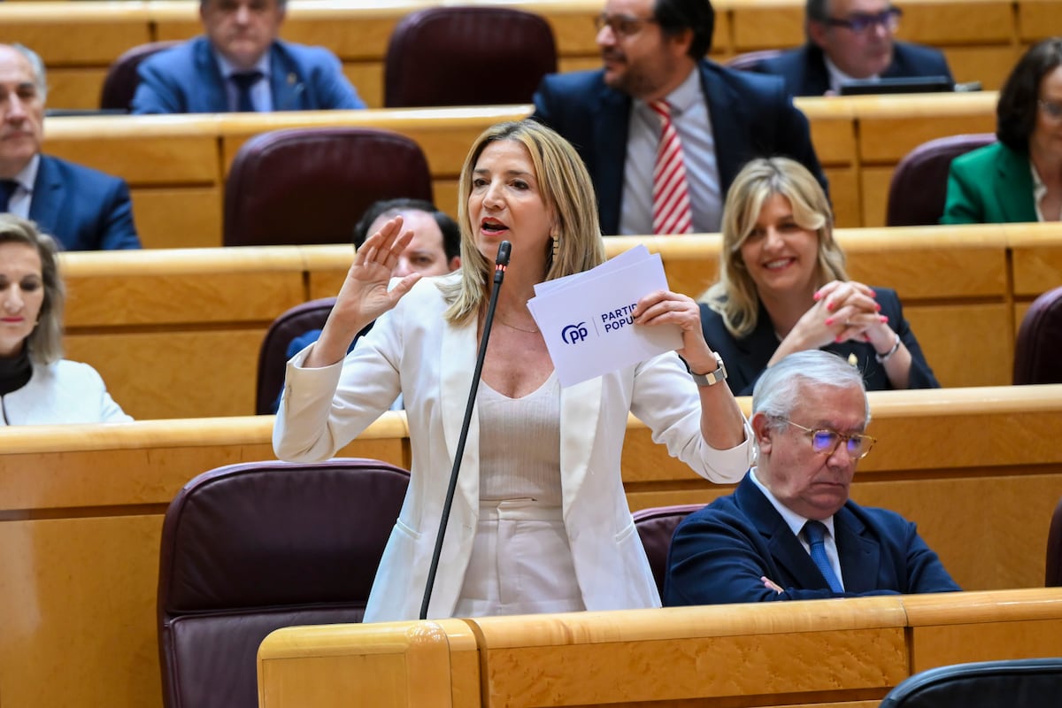 El PP gestiona la investigación judicial del “caso Koldo” para que investigue la comisión del Senado |  España