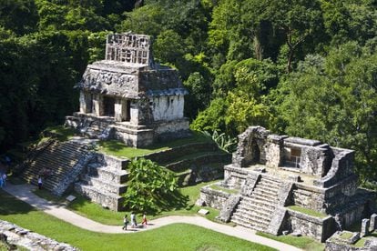 A los pies de los montes de Chiapas, en el suroeste de México, Palenque es un tesoro para los arqueólogos. Al parecer, la ciudad existía ya cien años antes de Cristo. Cinco siglos después se convirtió en un importante centro de la civilización maya clásica, con sus mitos y leyendas: niños reyes, invasiones, decapitaciones, intrigas cortesanas y, finalmente, su declive y abandono. Hoy es un importante centro turístico y arqueológico que nos habla de un tiempo pasado a través de sus impresionantes templos en forma piramidal o el impresionante palacio (www.turismochiapas.gob.mx).