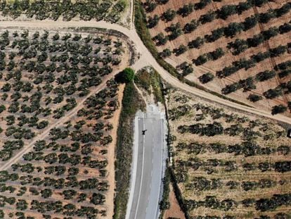 Espartinas/Sevilla/13-05-2019:  Carretera sin terminar de ejecutar que uniría la localidad sevillana de Espartinas con la A49.
 FOTO: PACO PUENTES/EL PAIS