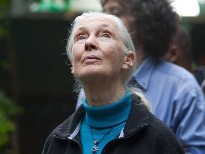 La primatóloga británica Jane Goodall en CosmoCaixa de Barcelona.