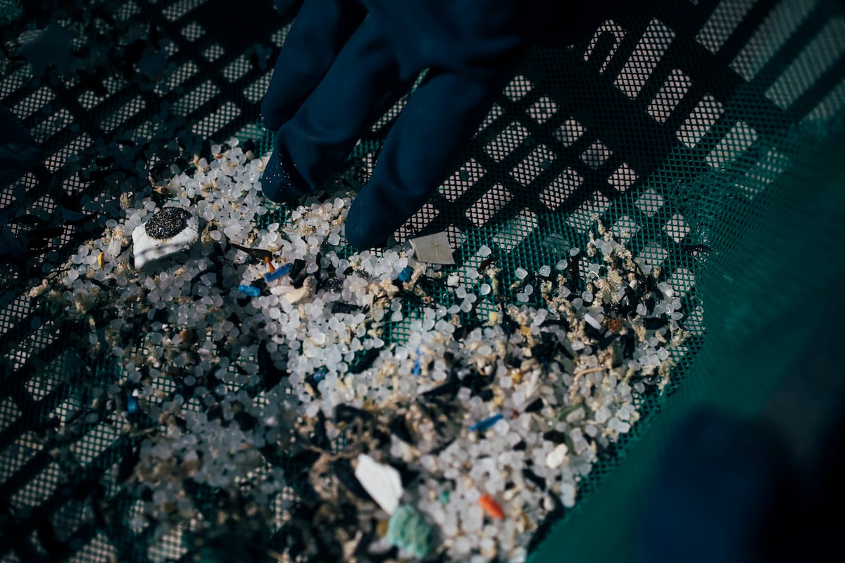 Preguntas y respuestas: ¿Qué son los ‘pellets’ de plástico recogidos en Galicia? ¿Cuántos han caído al mar? | Medio Ambiente