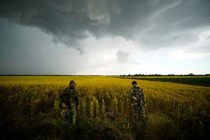 Soldados rusos custodian un campo de trigo en la región de Zaporiyia, ocupada por las tropas de Moscú, el 11 de agosto.