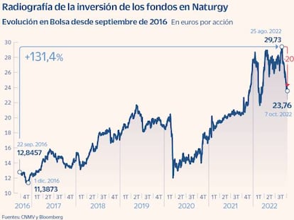 Radiografía de la inversión de los fondos de Naturgy