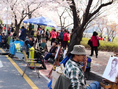 Carituristas en el parque de Yeouido, bajo los cerezos en flor.