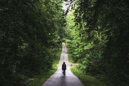 Una ciclista en el bosque de Eawy, en Normandía (Francia).