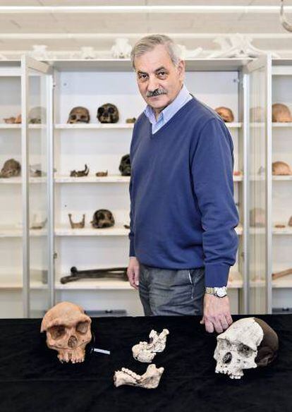 El paleoantropólogo José María Bermúdez de Castro.