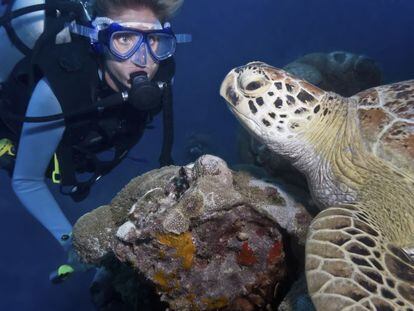 Un buceador se encuentra con una tortuga en la Gran Barrera de Coral, en Australia.