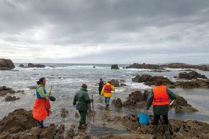 Mariscadoras en Caldebarcos, camino de una jornada de trabajo.