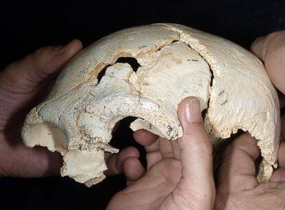 Parte del cráneo adulto hallado en Atapuerca (Burgos). Las partes más pequeñas se montarán en el laboratorio. Puede ser una de las piezas más completas encontradas hasta ahora.