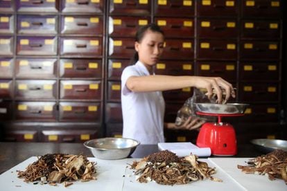 Una mujer prepara remedios tradicionales chinos en Ho Chi Minh, en Vietnam.