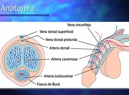 pastillas cialis cuanto cuesta