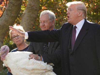 Siguiendo la tradición presidencial, Donald Trump 'indulta' a un pavo en la Casa Blanca con motivo de la celebración del Día de Acción de Gracias.