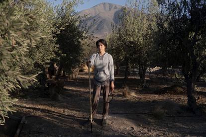 Marileu Avendaño es una de las principales defensoras del agua en Petorca. Además de presidir Conaproch, la agroecóloga y activista ecofeminista es miembro del Movimiento por las Aguas y los Territorios (MAT) y cofundadora de la Escuela de Agroecología Germinar, un centro de formación creado para ofrecer una alternativa a la agricultura industrial que se basa en los principios de soberanía alimentaria. Avendaño defiende firmemente el proyecto de nueva Constitución que se vota este domingo. “Me imagino que va a haber un acceso justo al agua, que efectivamente se va a llegar a la práctica de que el agua sea un bien común inapropiable y que va a haber una gestión comunitaria de las aguas y que eso va a influir a todos los actores de las cuencas y que ya no se concentrará en unos pocos, sino que será distribuido para que la vida y la agricultura sea posible y que todas las formas de vida podamos coexistir”, afirma.