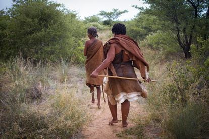 Los bosquimanos son el pueblo más antiguo del sur de África. Se calcula que unos 100.000 habitan tierras de Botsuana, Namibia, Sudáfrica y Angola desde hace 20.000 años y poseen saberes y tradiciones antiquísimas y muy valiosas. Son cazadores y recolectores nómadas, y alrededor de unos cinco mil vivieron hasta finales del siglo XX en la Reserva Central del Kalahari, una superficie protegida de 52.800 kilómetros cuadrados situada en Botsuana. En la imagen, dos mujeres bosquimanas llamadas Tata y Gakepagape pasean por el bosque cercano a Ghanzi, un pueblo situado a pocos kilómetros de la Reserva Central del Kalahari, en Botsuana.