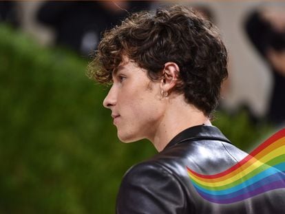 Shawn Mendes, fotografiado en la gala del Met de 2021, es perseguido (gracias a la magia del 'collage') por un arcoíris.