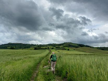 Un caminante recorre un tramo de la Vía Lucana, en una imagen cedida por los organizadores del Camino Materano.