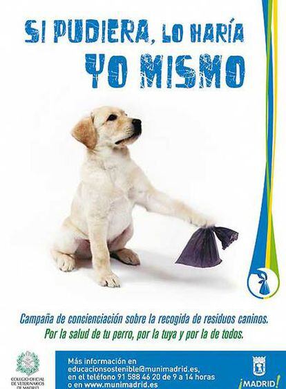 El Ayuntamiento de Madrid presenta una campaña y aumenta las multas para limpiar las calles de cacas de perro.