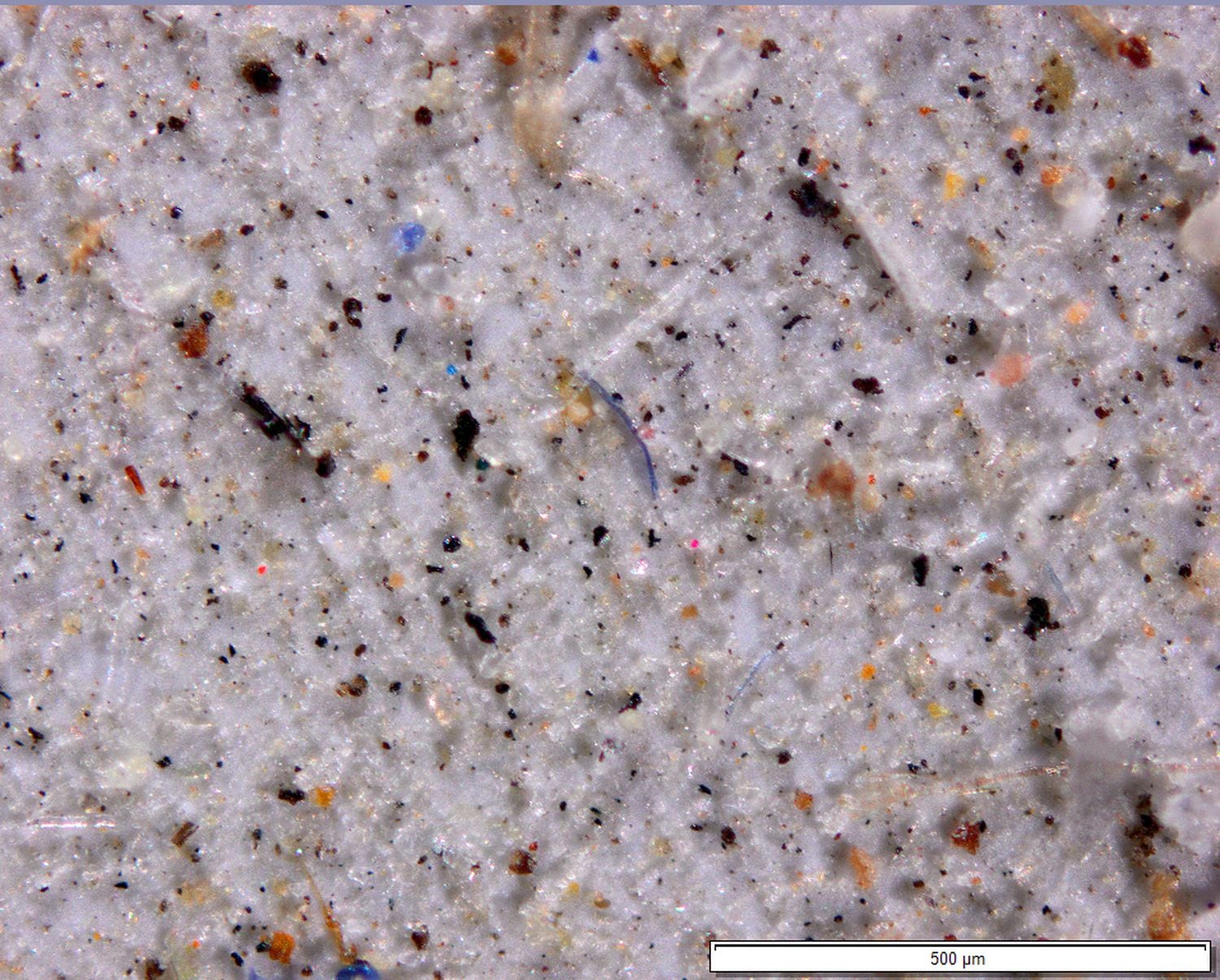 Partículas y fibras plásticas mezcladas con polvo en muestras recogidas por los investigadores, 500 µm equivalen a 0,5 milímetros. (JANICE BRAHNEY / UNIVERSIDAD ESTATAL DE UTAH)