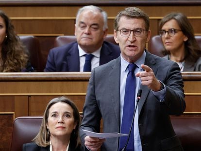 MADRID, 28/02/2024.- El líder del PP, Alberto Núñez Feijóo, interviene en la sesión de control al Gobierno, este miércoles en el Congreso. EFE/  Mariscal

