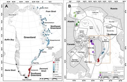 Los mapas muestran los territorios del oso polar. El de la izquierda, los animales rastreados en Groenlandia. El de la derecha, indica los límites de las 19 subpoblaciones. En rojo, la recién descubierta.