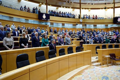 Minuto de silencio este jueves en el Senado en memoria de las mujeres víctimas de violencia de género asesinadas desde el último pleno.