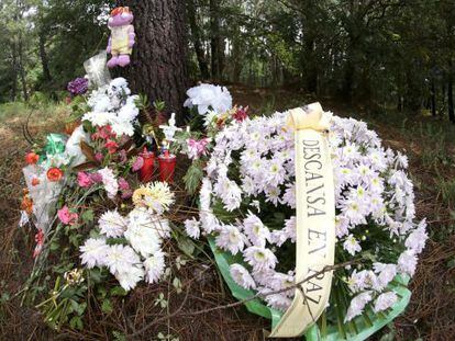 Flores, en lugar donde apareció el cadáver de Asunta