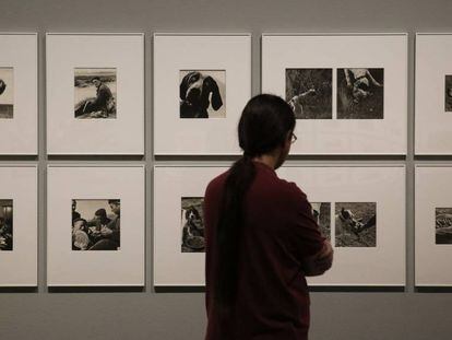 Fotografías para el libro 'La caza de la perdiz roja' de Maspons, publicad en 1963 por Lumen.