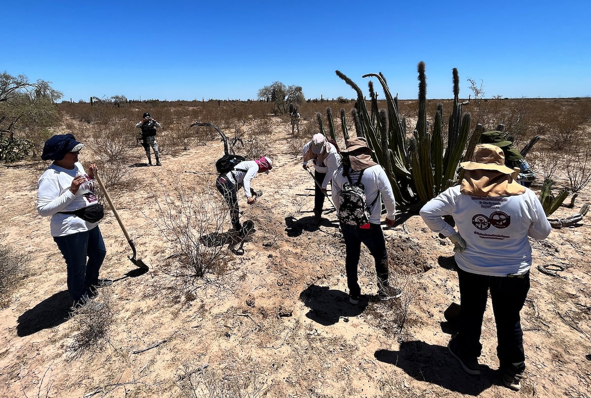 Buscan a madres que negocian con narcotraficantes para encontrar a sus desaparecidos en México