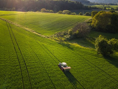 Además de las herramientas que facilitan las labores del campo, la agricultura regenerativa recurre a otras técnicas como la utilización de fertilizantes orgánicos, el uso eficiente del agua, la plantación de cultivos que ayudan a evitar la erosión, el pastoreo con animales y las rotaciones de cultivos.