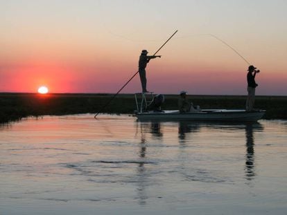 Pesca deportiva en los Esteros del Iber&aacute;, en la provincia de Corrientes, Argentina.
