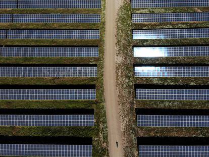 Una planta fotovoltaica en la provincia de Cáceres.