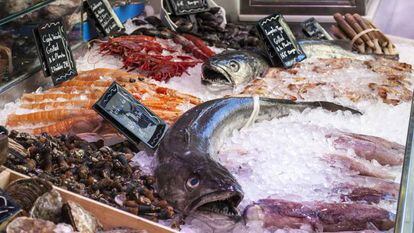 ¿Cuando comemos pescado también nos hartamos de plastiquetes?